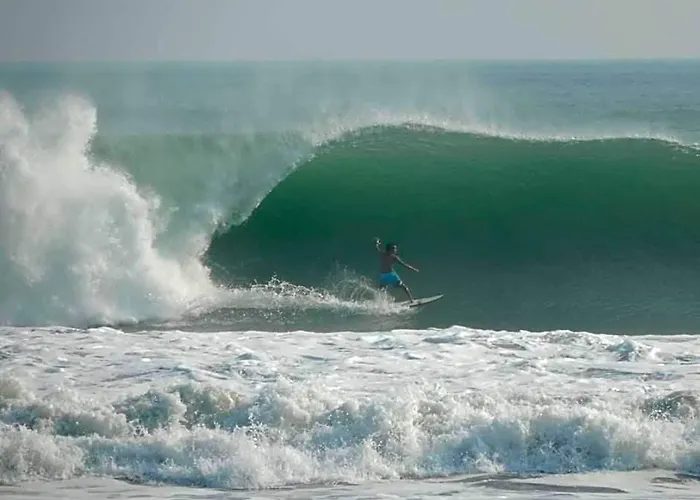 The Point Surfcamp Bali 3*