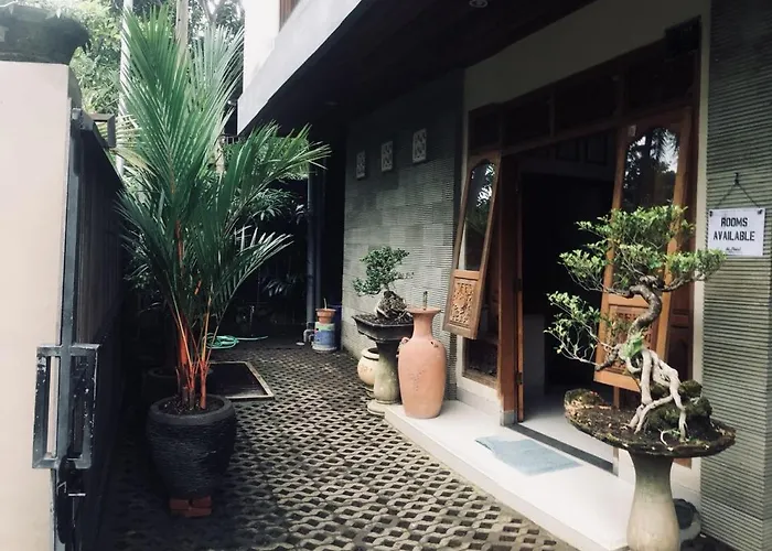 The Point Surfcamp Bali ホテル 3*